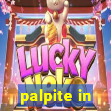 palpite in